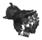 gaunt.webp