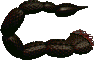 scorp.webp